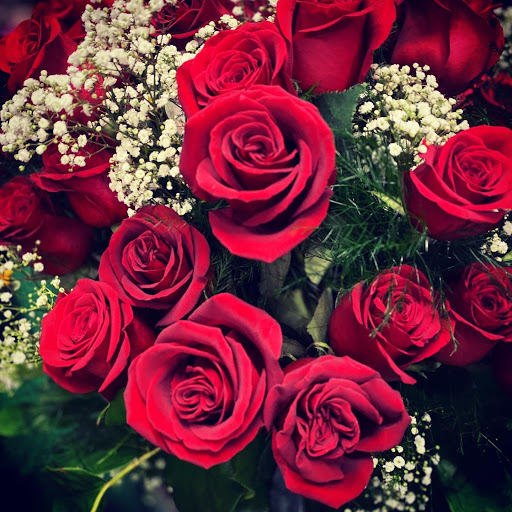 Florist «Green Lea Florist Voorhees Floral Village», reviews and photos, 204 NJ-73, Voorhees Township, NJ 08043, USA