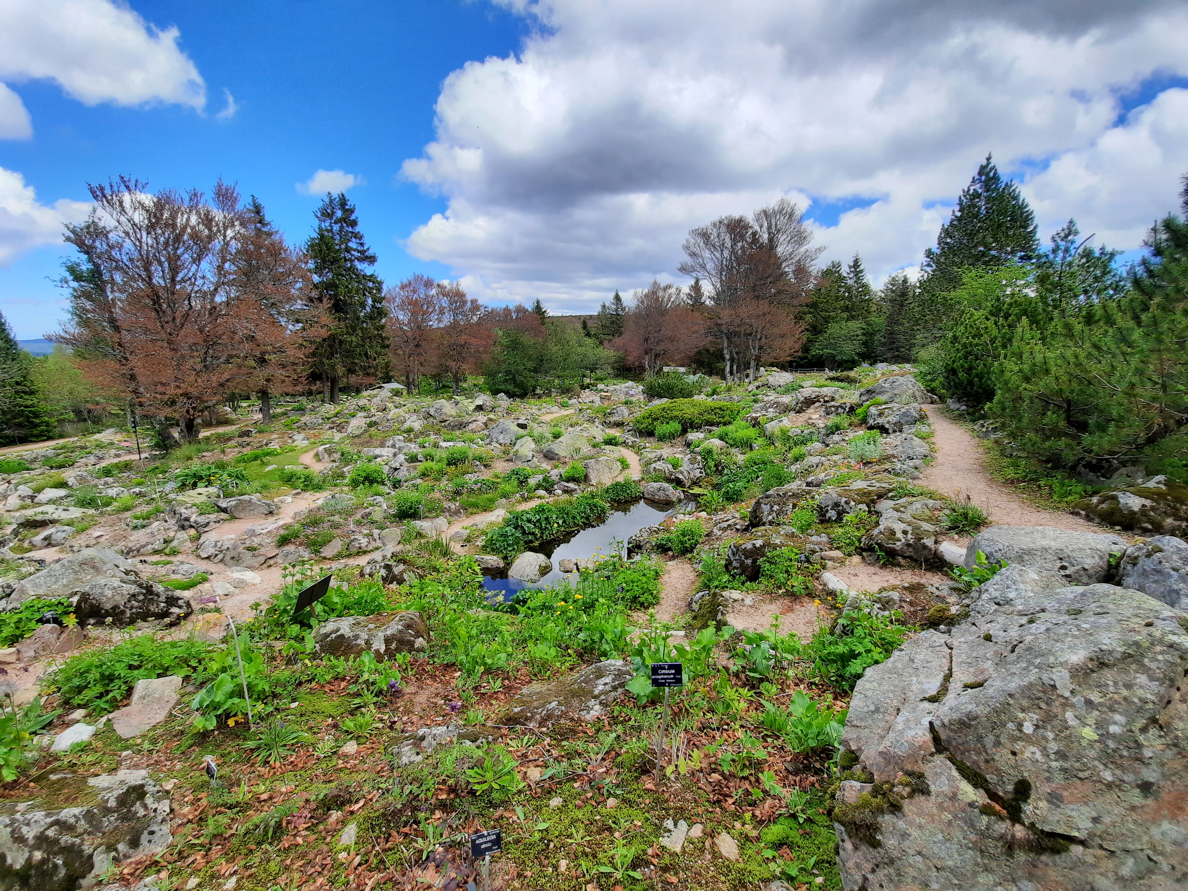 Photo n° 39 de l'avis de Victoria.e fait le 22/06/2020 à 21:37