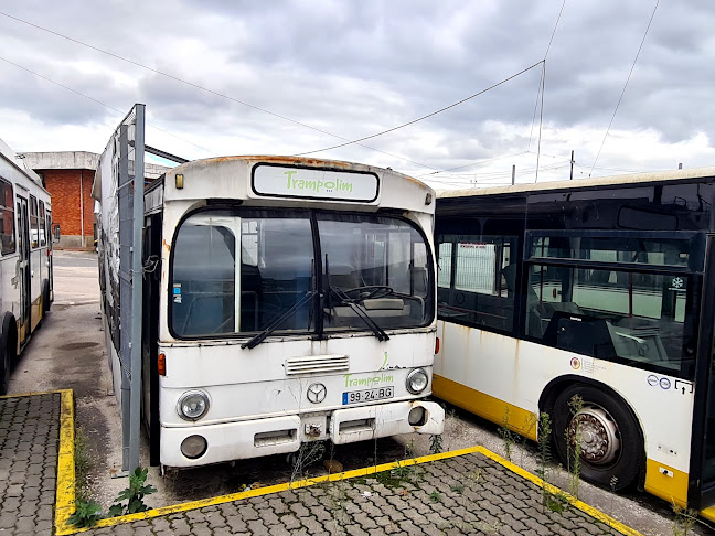 Avaliações doSMTUC - Serviços Municipalizados de Transportes Urbanos de Coimbra em Coimbra - Serviço de transporte