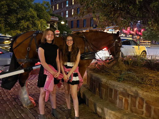 Ice Cream Shop «Dolci Old Market», reviews and photos, 1003 Howard St, Omaha, NE 68102, USA