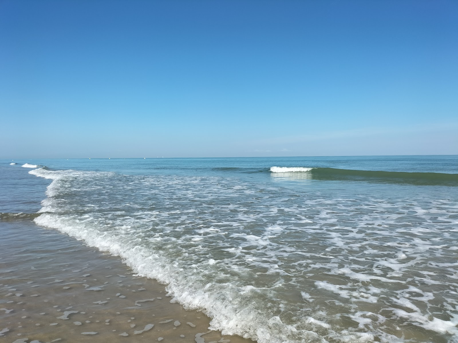 Plage des Ecardines'in fotoğrafı - tatil için iyi evcil hayvan dostu nokta