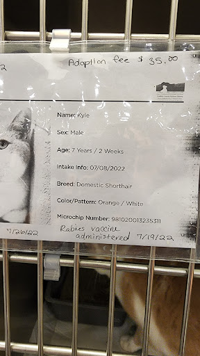 Pet Supply Store «PetSmart», reviews and photos, 4749 Valley View Blvd NW, Roanoke, VA 24012, USA