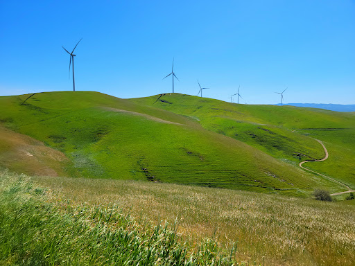 Nature Preserve «Brushy Peak Regional Preserve», reviews and photos, Laughlin Rd, Livermore, CA 94551, USA