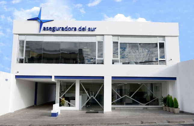 Opiniones de Aseguradora del Sur en Riobamba - Agencia de seguros