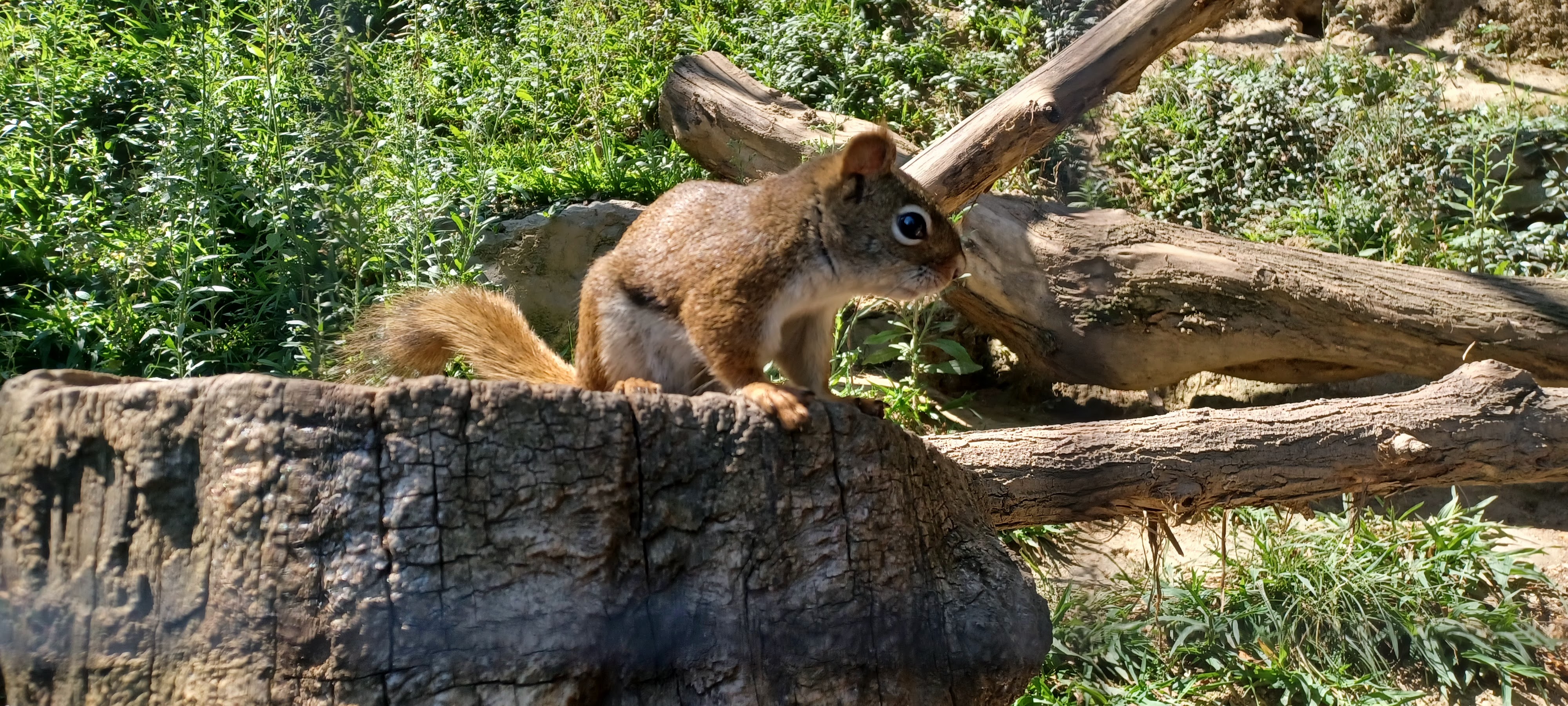 Photo n° 2 de l'avis de Regis.i fait le 20/08/2023 à 16:32