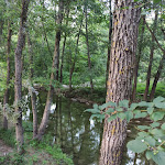Photo n°10 de l'avis de Vincenzo.a fait le 11/08/2020 à 12:29 sur le  La Baracca sul Fiume à Monzuno