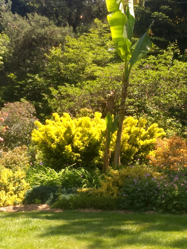 Tourist Attraction «Soos Creek Botanical Garden», reviews and photos, 29308 132nd Ave SE, Auburn, WA 98092, USA