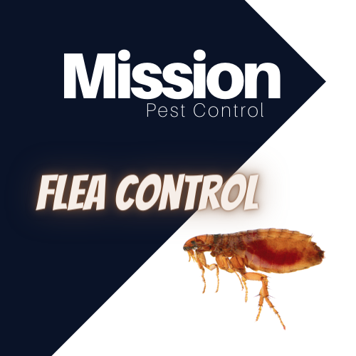 Mission Pest Control Swindon
