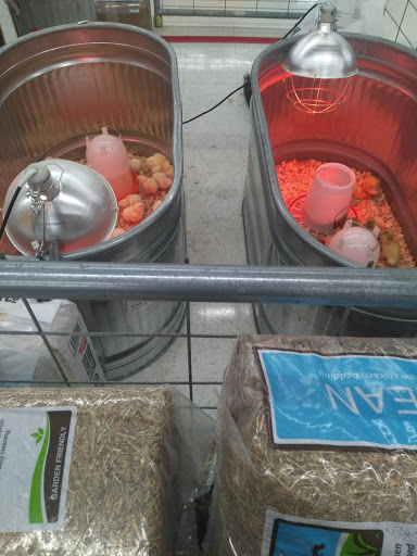 Home Improvement Store «Tractor Supply Co.», reviews and photos, 5470 Landers Rd, North Little Rock, AR 72117, USA