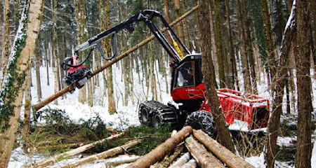 Möser Holz GmbH