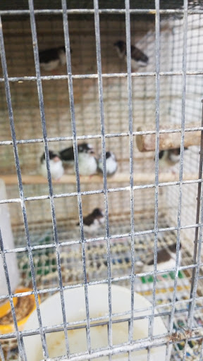 Animal Feed Store «Farmers Feed & Pet Supply», reviews and photos, 1302 E Miner Ave, Stockton, CA 95205, USA