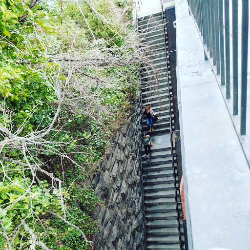 Tourist Attraction «