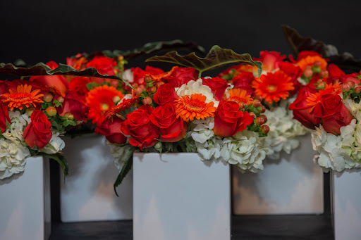 Florist «Urban Floral», reviews and photos, 671 Meriden Rd, Waterbury, CT 06705, USA