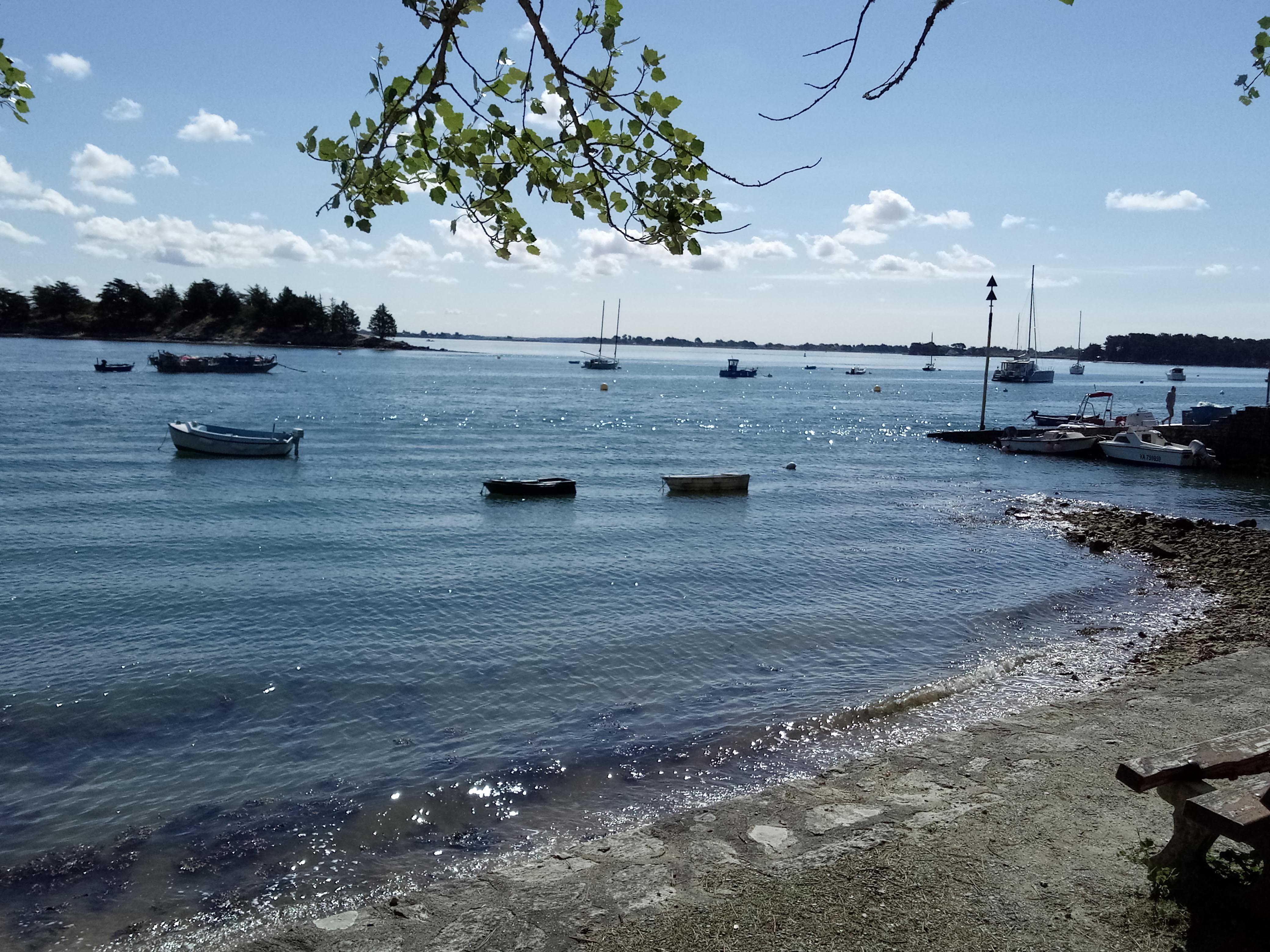 Photo n° 42 de l'avis de Jean.a fait le 21/06/2019 à 18:36
