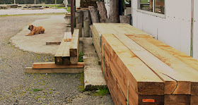 Point Timber