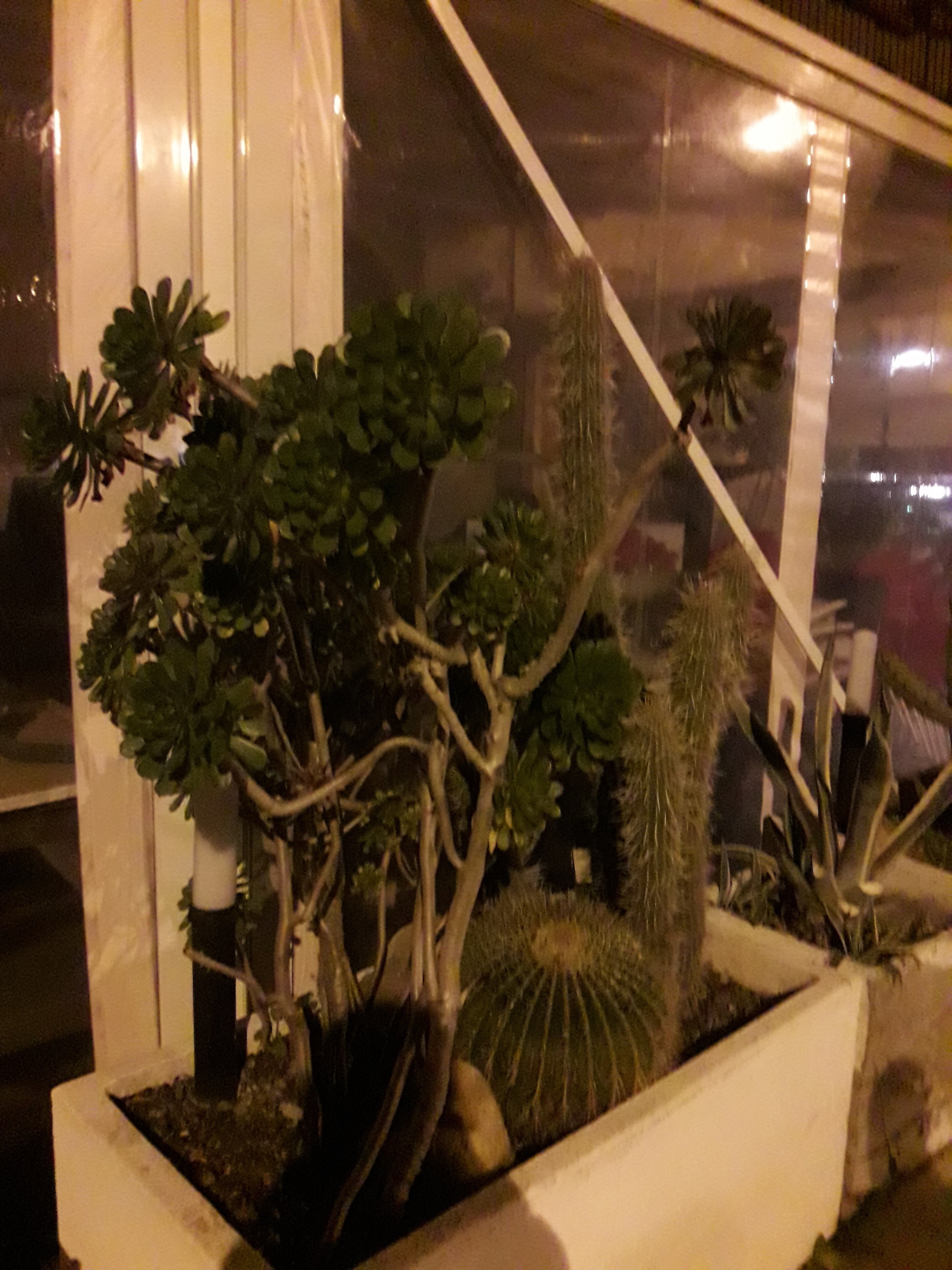 Photo n° 18 de l'avis de Stefe. fait le 25/02/2018 à 00:05