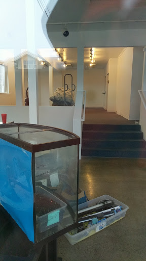 Tobacco Shop «Cornerstone Glass Campus Store», reviews and photos, 446 E 13th Ave, Eugene, OR 97401, USA