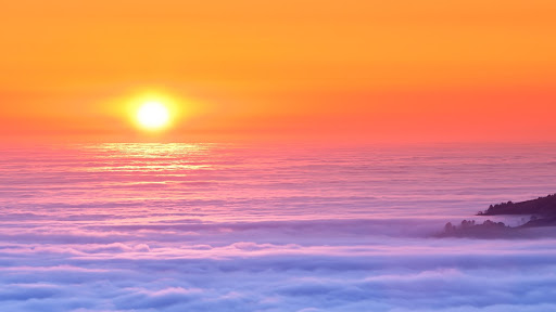 Divorce Lawyer «The Abrams Law Firm LLC», reviews and photos