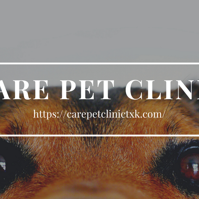 Care Pet Clinic Texarkana