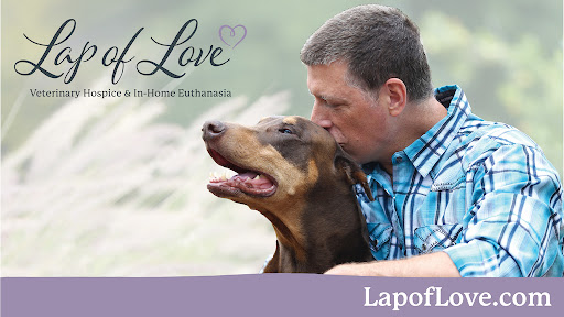 Lap of Love - Dayton