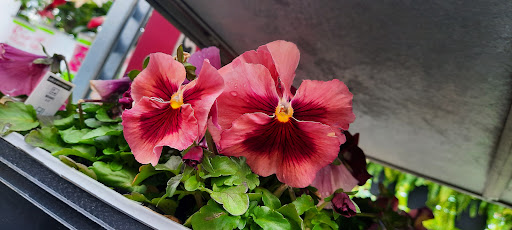 Home Improvement Store «The Home Depot», reviews and photos, 564 Broadway, Saugus, MA 01906, USA