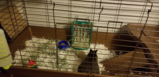 Pet Supply Store «Petco Animal Supplies», reviews and photos, 129 Mall Way, Marysville, WA 98270, USA