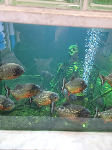 Tropical Fish Store «Ocean Aquarium», reviews and photos, 6820 E Black Horse Pike, Egg Harbor Township, NJ 08234, USA