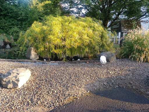 Self-Storage Facility «Easy Storage of Woodburn», reviews and photos, 535 S Pacific Hwy, Woodburn, OR 97071, USA