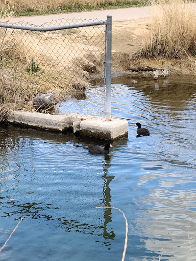 Nature Preserve «Wilson Springs Ponds», reviews and photos, 3209-3507 S Powerline Rd, Nampa, ID 83686, USA