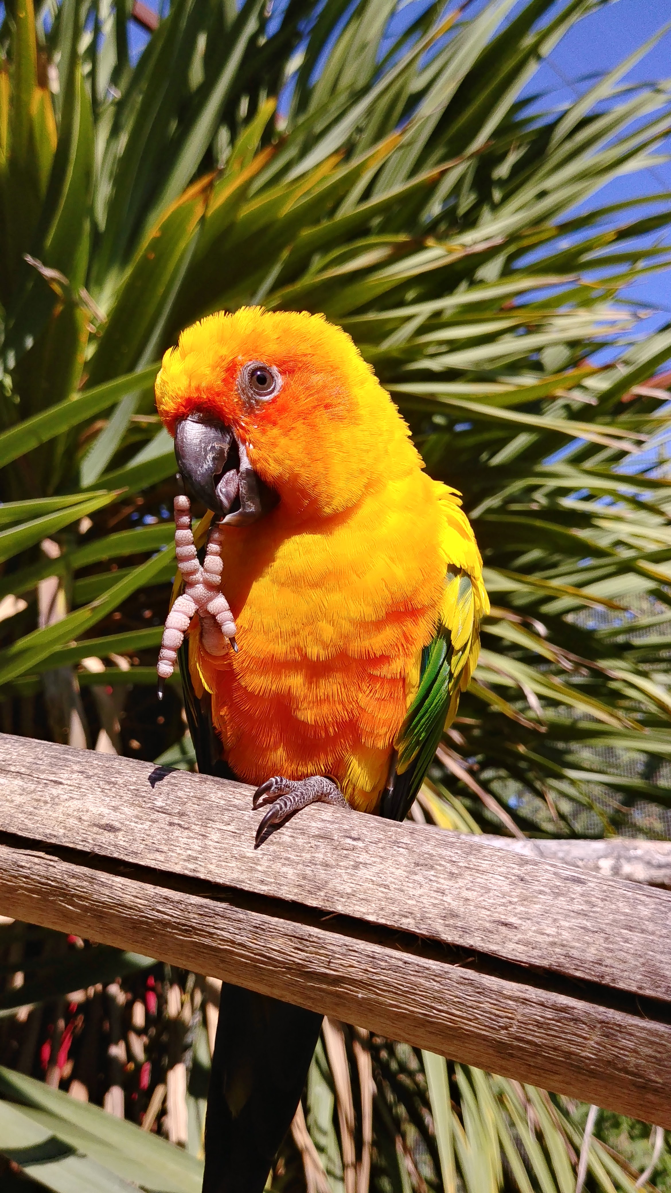 Photo n° 1 de l'avis de Dada.e fait le 30/09/2018 à 20:26