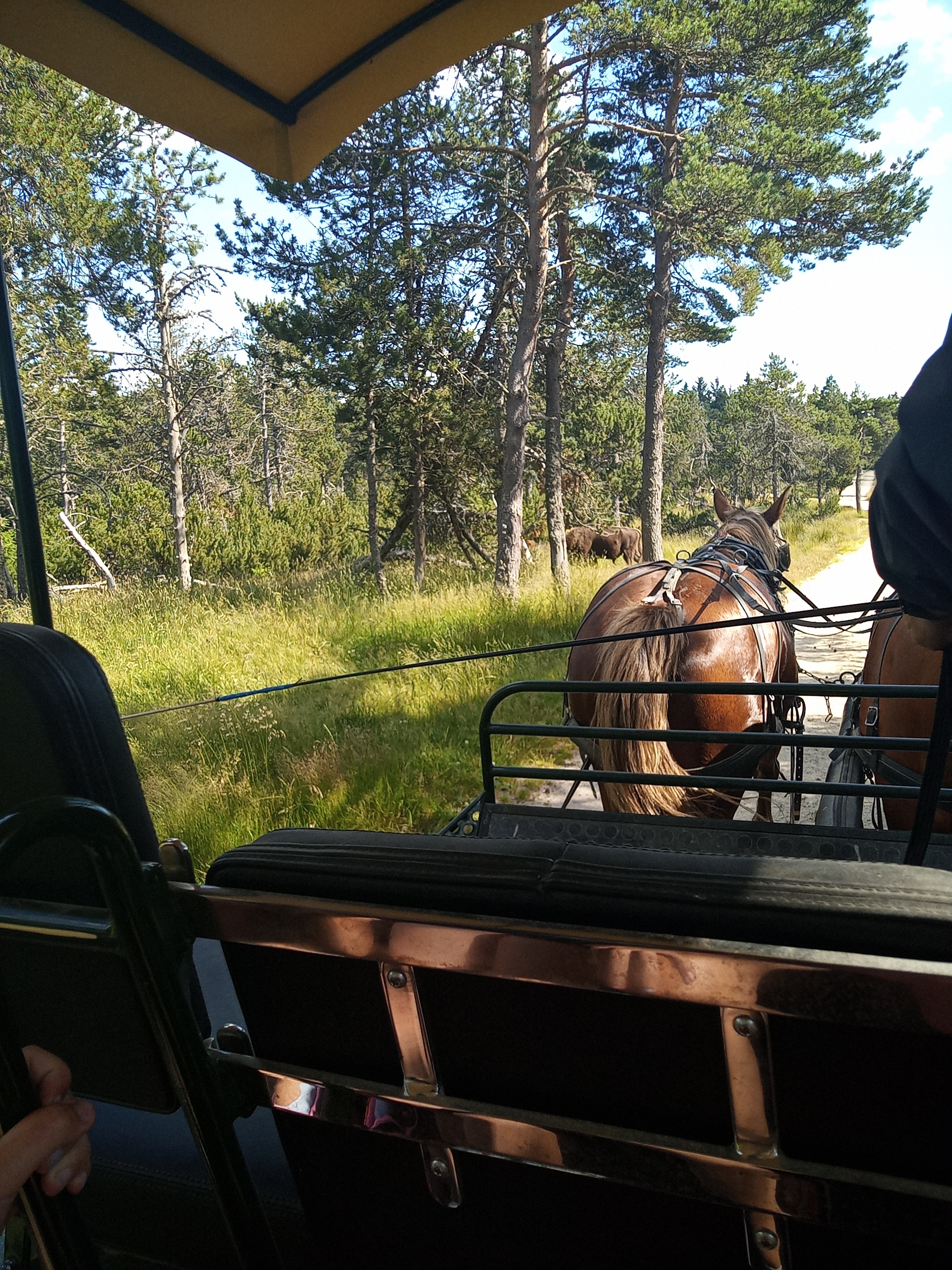 Photo n° 1 de l'avis de Julie.a fait le 16/07/2023 à 15:48