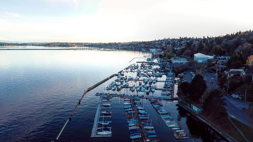 Park «Madrona Park», reviews and photos, 853 Lake Washington Blvd, Seattle, WA 98122, USA