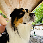 Photo n°7 de l'avis de Antonio.e fait le 17/06/2023 à 11:41 sur le  Osteria del Nonno Pieroni Paola à Montefortino