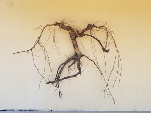 Winery «ROCO Winery», reviews and photos, 13260 NE Red Hills Rd, Newberg, OR 97132, USA