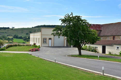 Champagne Lacroix à Châtillon-sur-Marne