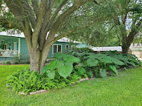TruGreen Lawn Care - Photo 7 - Car repair in Ocala, FL, Ocala