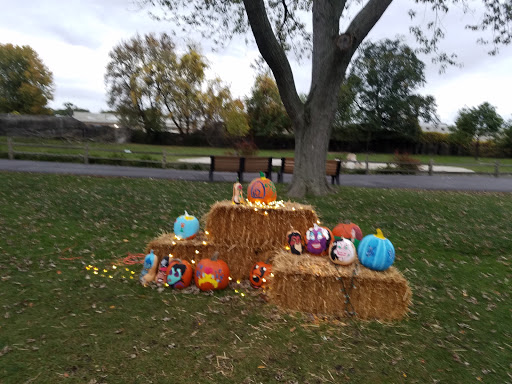 Zoo «Detroit Zoo», reviews and photos, 8450 W 10 Mile Rd, Royal Oak, MI 48067, USA