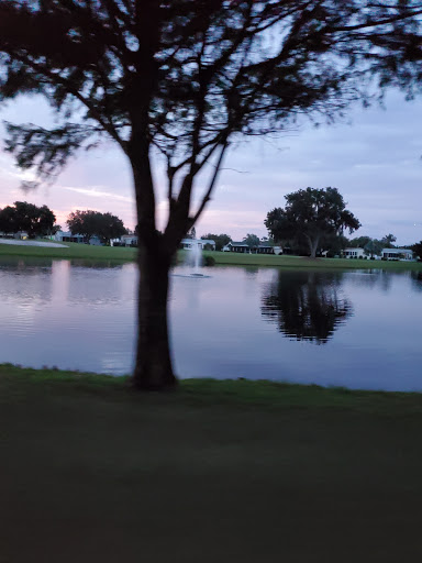 Golf Course «Crane Lakes Golf & Country Club», reviews and photos, 1850 Crane Lakes Blvd, Port Orange, FL 32128, USA