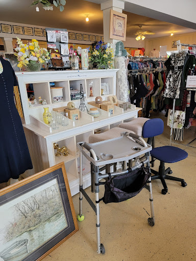 Thrift Store «St. Paws Thrift Store», reviews and photos, 304 12th St, West Columbia, SC 29169, USA