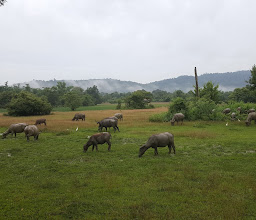 Sonshine Resort ซันชายน์ รีสอร์ท photo