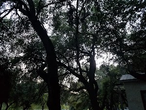 Chalk Bluff Ranch - photo 16