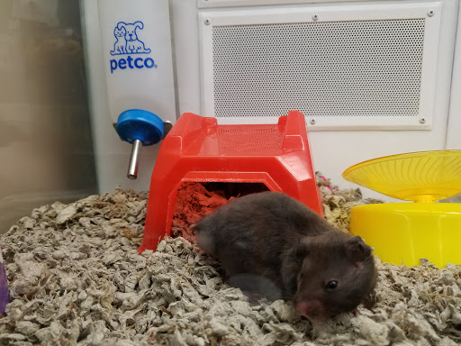 Pet Supply Store «Petco Animal Supplies», reviews and photos, 5 Bel Air S Pkwy #213B, Bel Air, MD 21014, USA