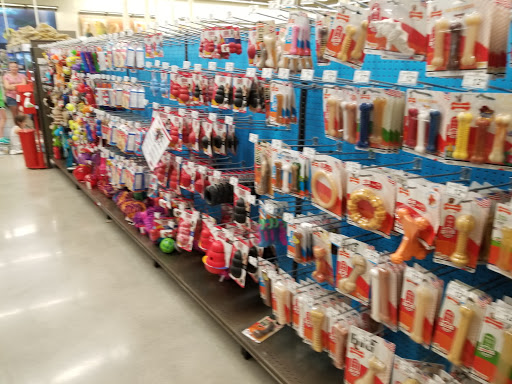 Pet Supply Store «Petco Animal Supplies», reviews and photos, 3551 W Hillsboro Blvd, Deerfield Beach, FL 33442, USA