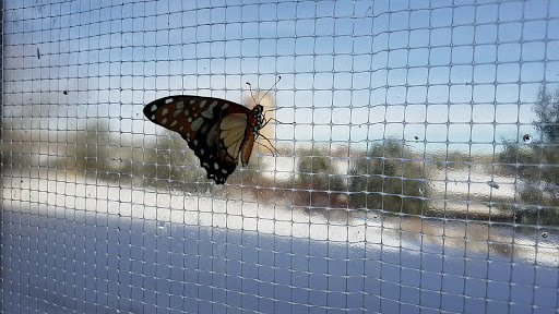 Animal Protection Organization «Butterfly Pavilion», reviews and photos, 6252 W 104th Ave, Westminster, CO 80020, USA