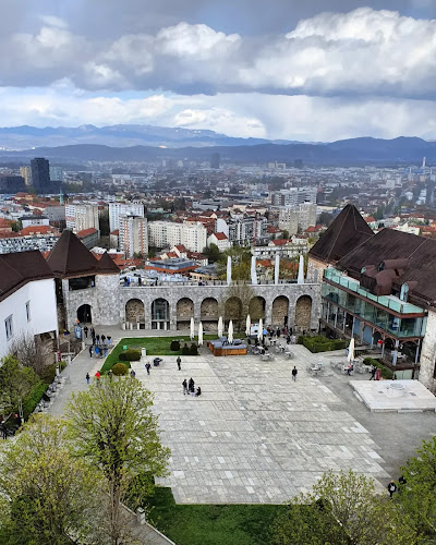 Ljubljanski grad - Muzej