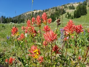 Beaverhead-Deerlodge National Forest - photo 32
