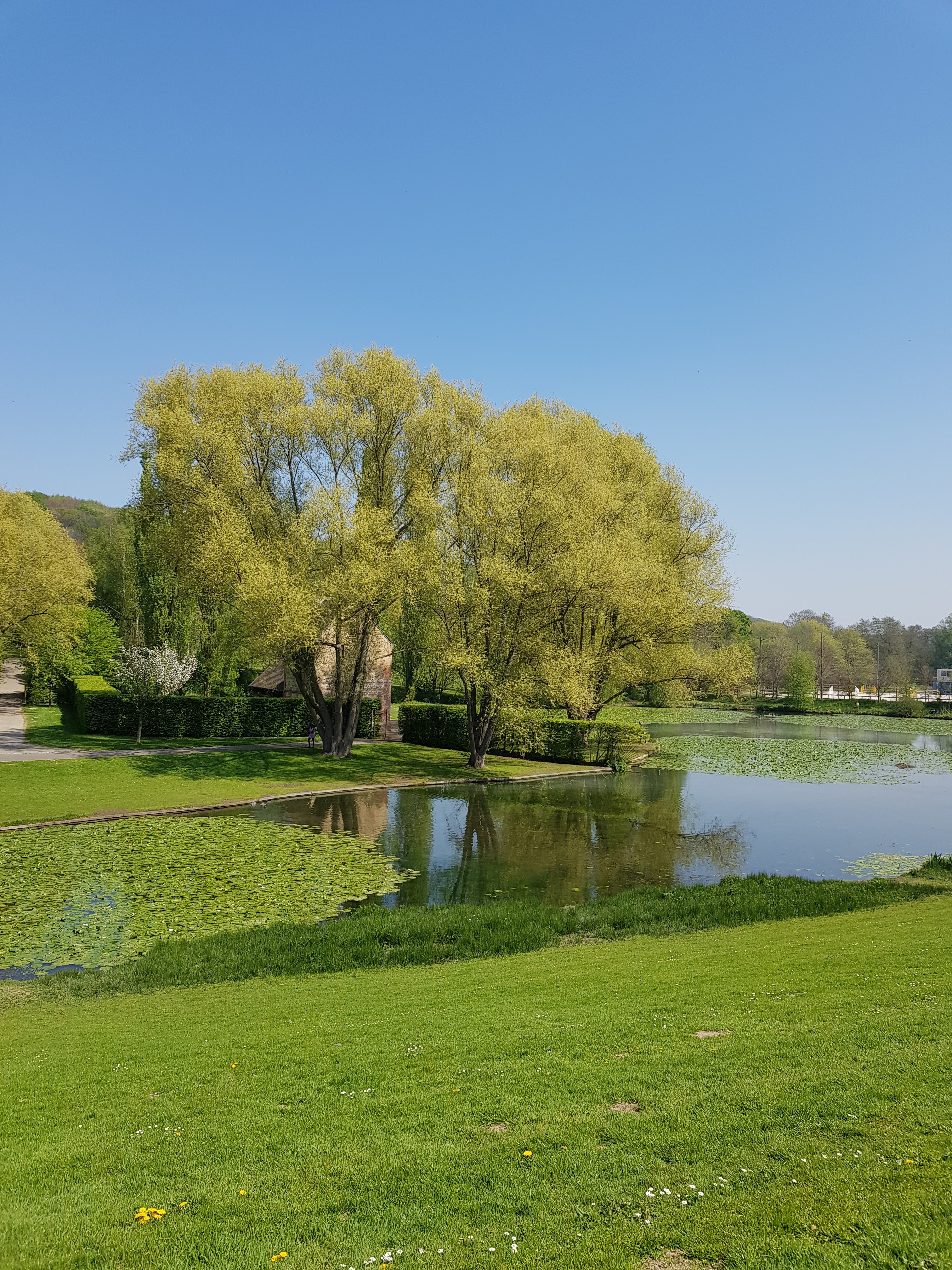 Photo n° 2 de l'avis de Béatrice.o fait le 06/05/2019 à 15:02