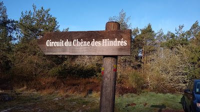 Chêne des Hindrés Parking à Paimpont
