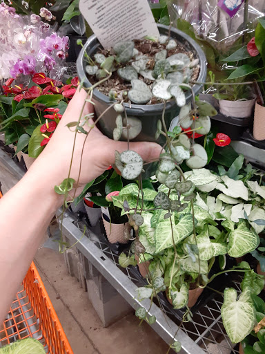 Home Improvement Store «The Home Depot», reviews and photos, 2406 Lincoln Way E, Massillon, OH 44646, USA