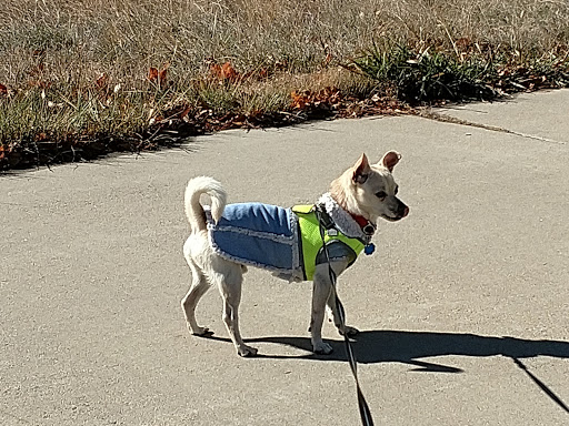 Dog Park «Grandview Dog Park», reviews and photos, 17500 E Quincy Ave, Aurora, CO 80015, USA
